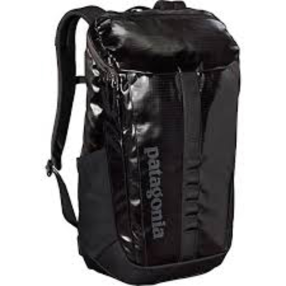 Patagonia Black Hole 25L Backpack